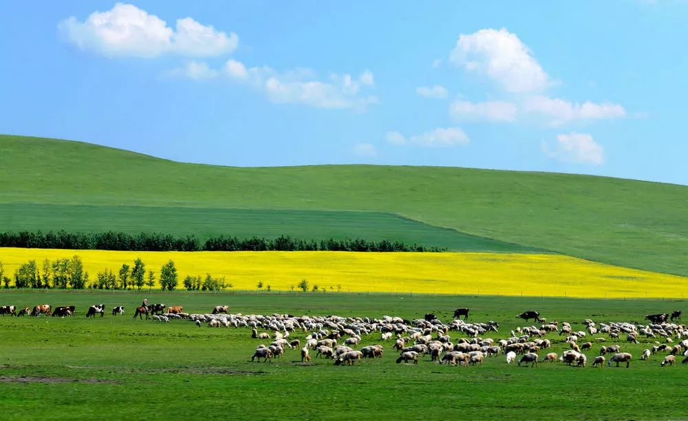 内蒙古，广袤草原的无尽魅力