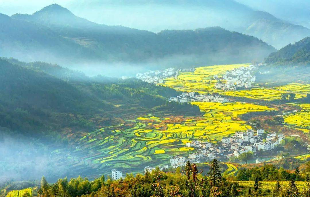 外交部发言人点赞江西经济社会发展成就