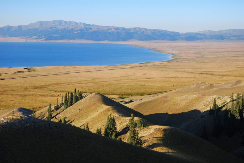 心系热土,新疆,我心中的绿色天堂🌿🏔️